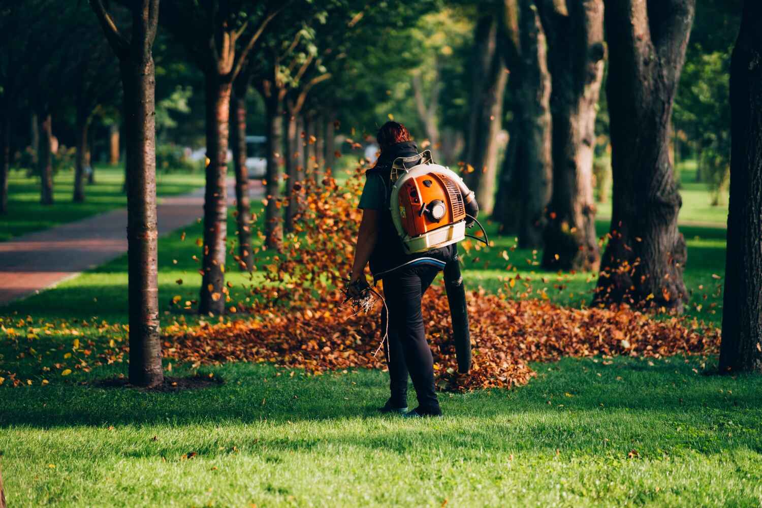 Best Tree Removal Contractors  in Clayton, NJ